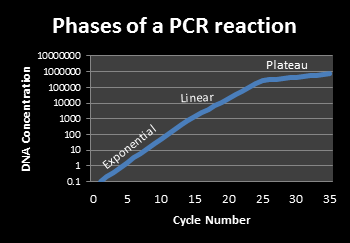 Current PCR Methods figure 1