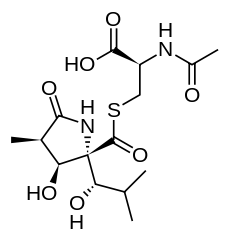 Inhibidores del proteosoma Figura 3
