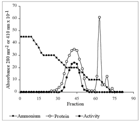 Purificación de proteínas
Figura 8