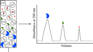 Purificación de proteínas
Figura 9