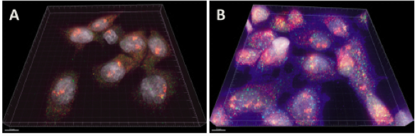 RNA Imaging figure 2