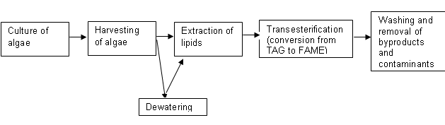 Algae Biofuels Research Method figure 1