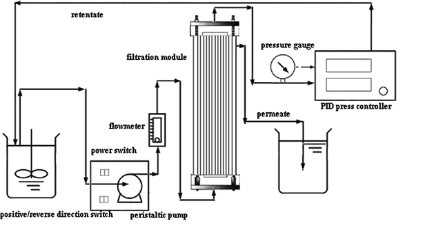 Algae Biofuels Research Method figure 2