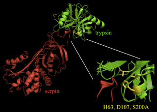 Protease Inhibitors figure 6