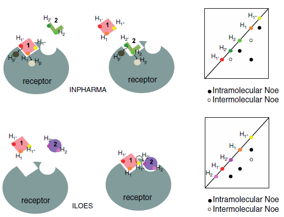 Estrogen receptor assay positive