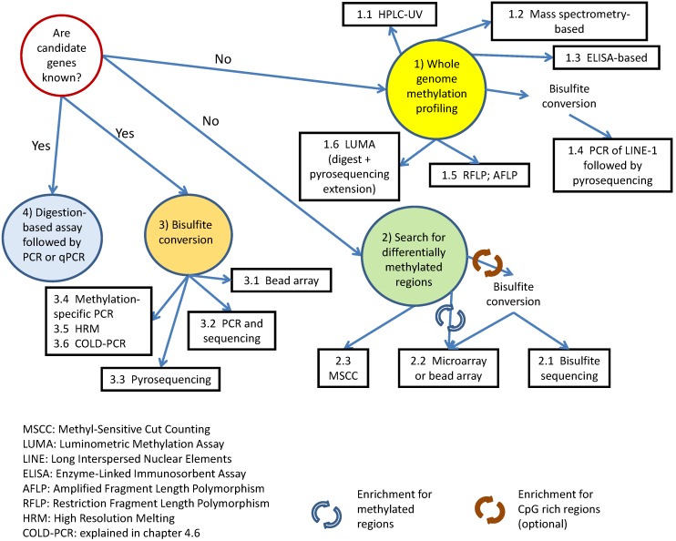 DNA 甲基化研究方法 图 8