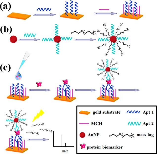 Low Abundance Proteins figure 1