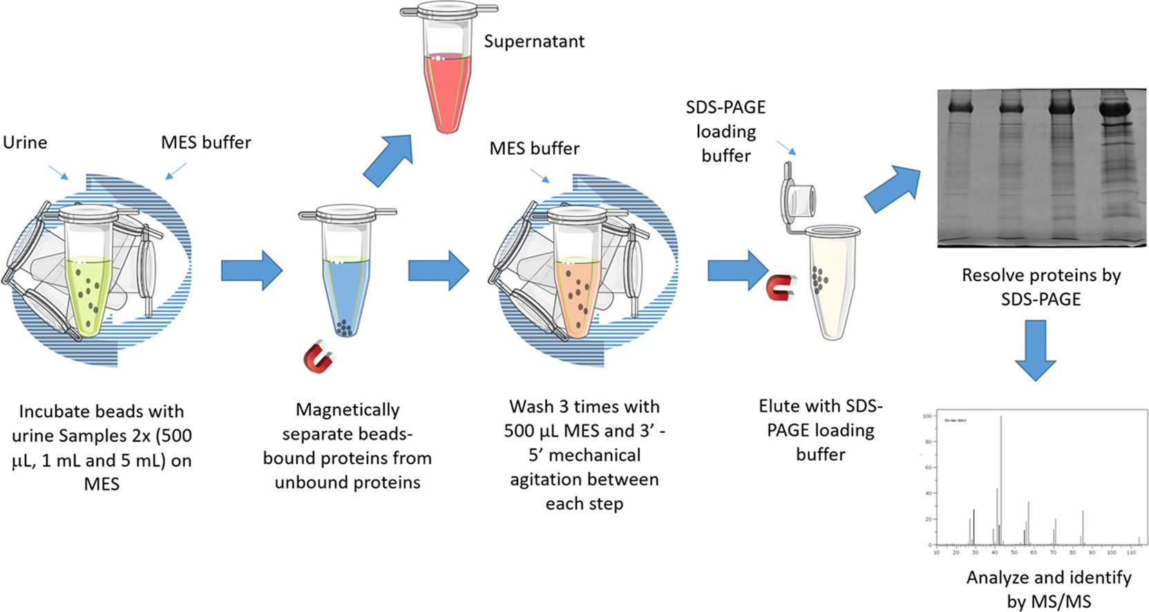 Low Abundance Proteins figure 2