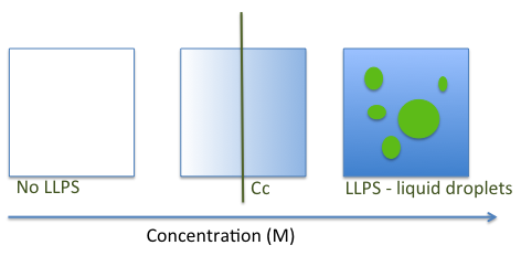 Biological Condensates figure 1