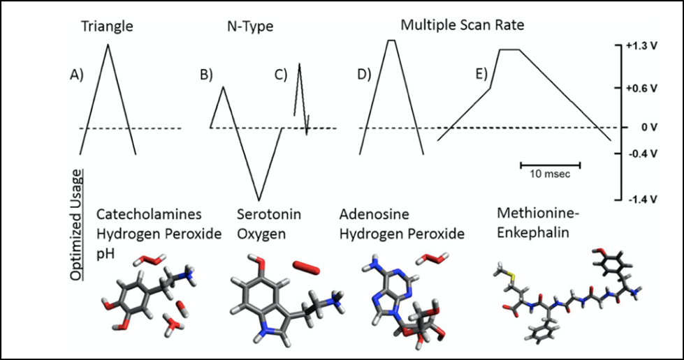 Neuronal Activity Research Methods figure 3
