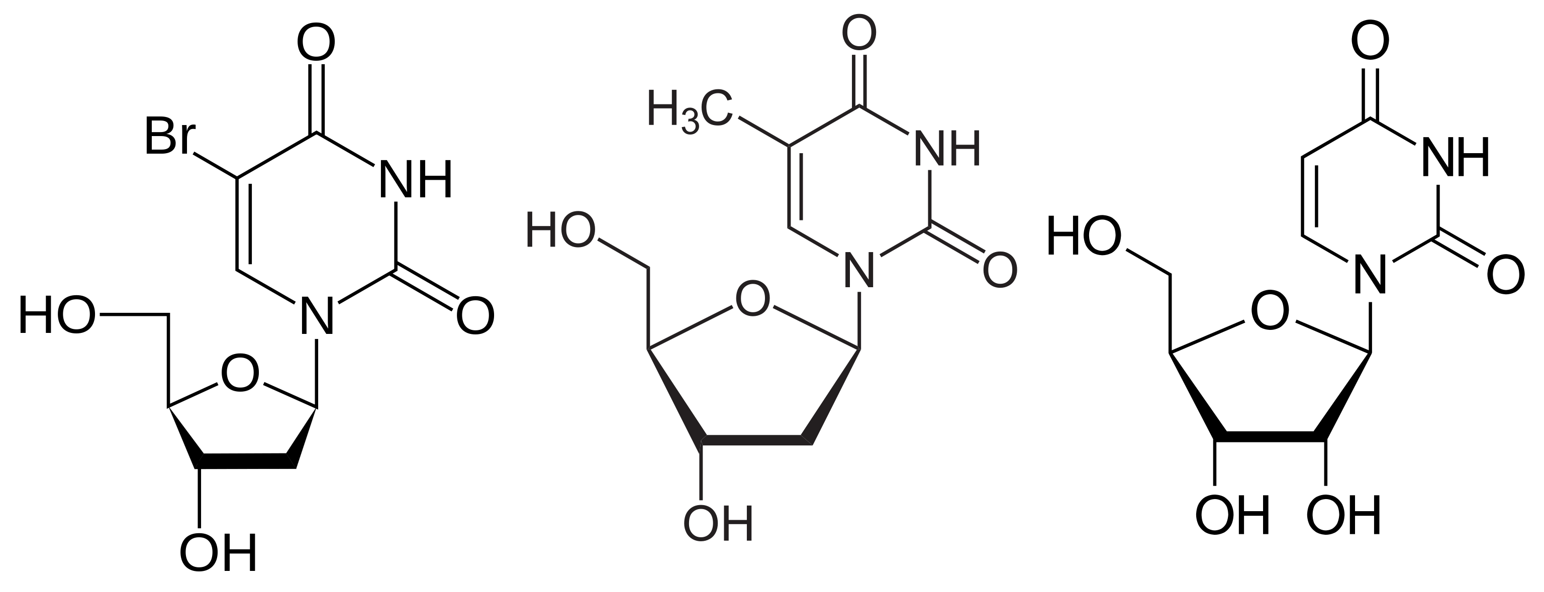 BrdU Antibody, DNA Antibody, RNA Antibody and Hybrid DNA:RNA Antibody figure 1
