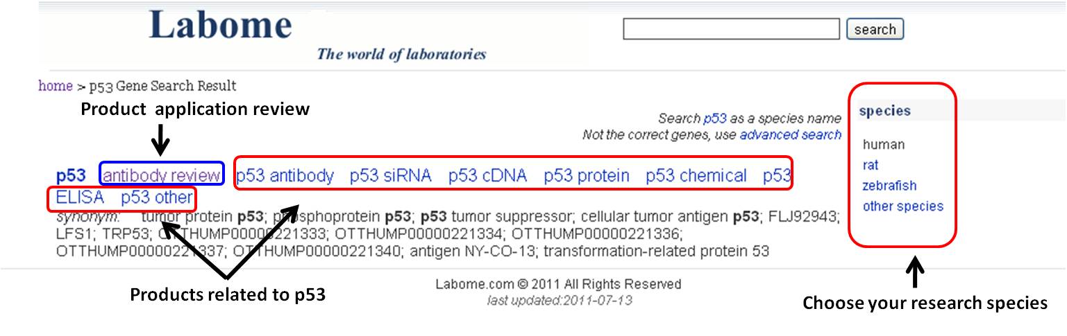 gene search result