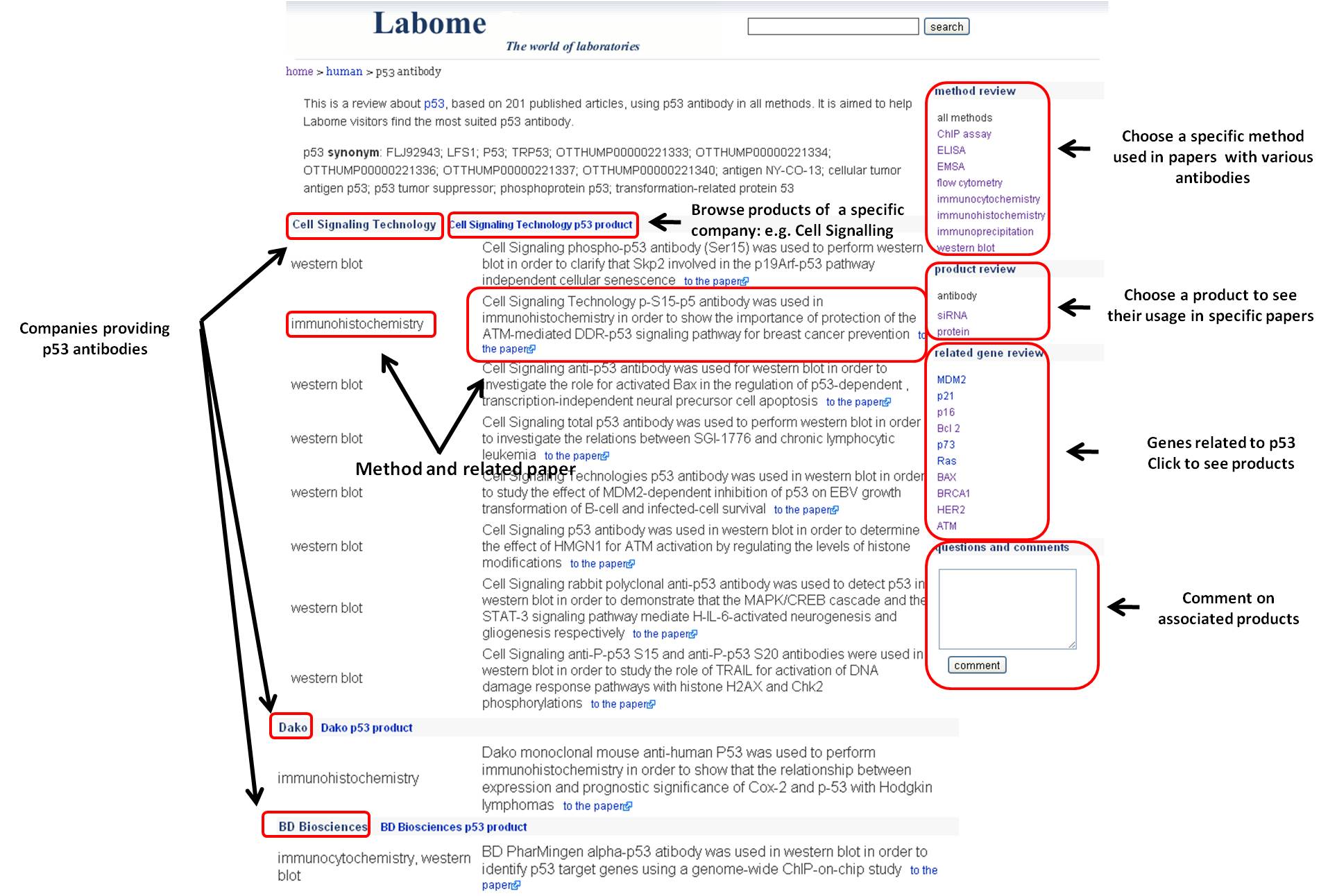 antibody review page