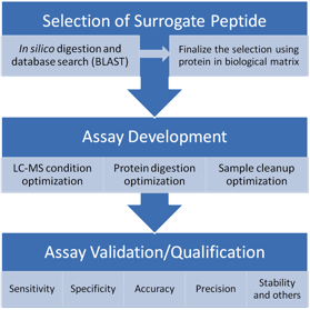 Quantitative Bioanalysis of Proteins by Mass Spectrometry figure 2