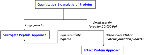 Quantitative Bioanalysis of Proteins by Mass Spectrometry figure 3