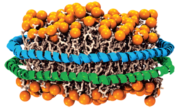 Nanodiscs: Membrane Protein Research in Near-Native Conditions figure 1