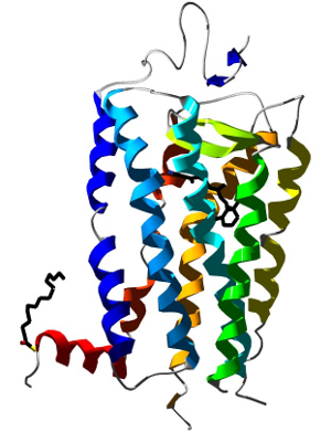 Optogenetics figure 1