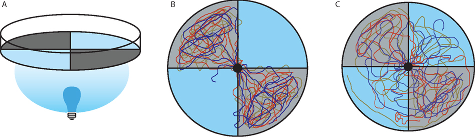 Optogenetics figure 5
