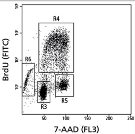 Cell Proliferation Assays and Cell Viability Assays figure 2